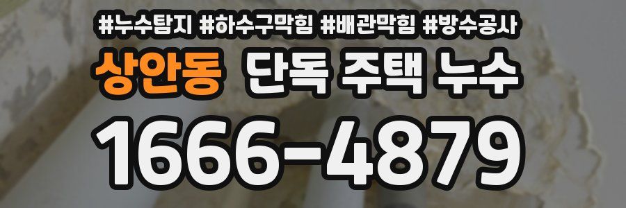 상안동 단독 주택 누수