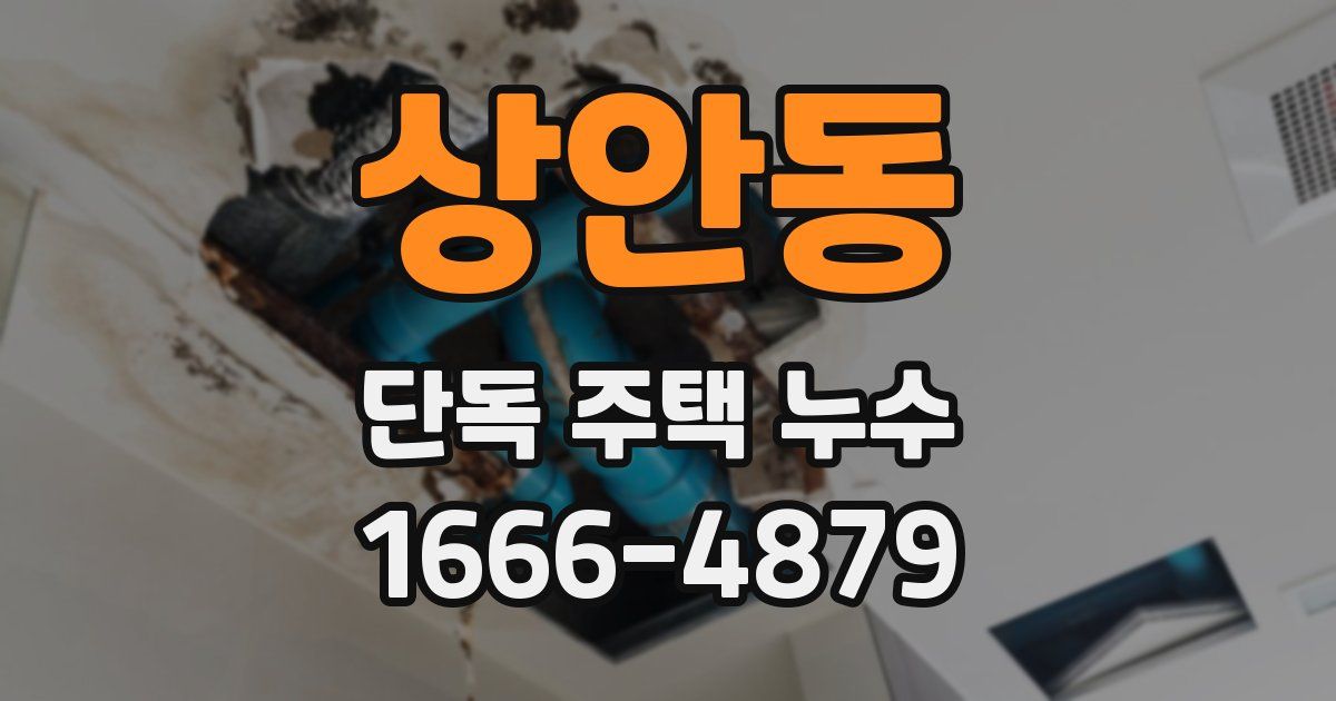상안동 단독 주택 누수