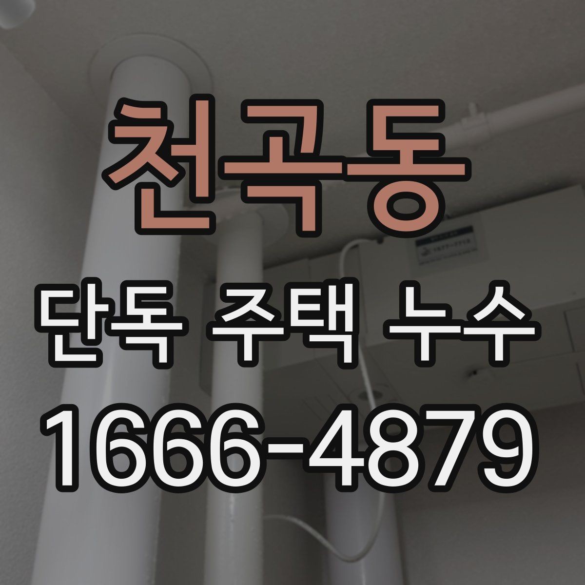 천곡동 단독 주택 누수 동파 이후 확인해야 할 부분