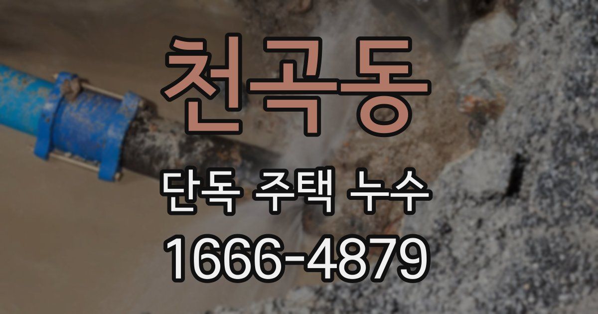 천곡동 단독 주택 누수