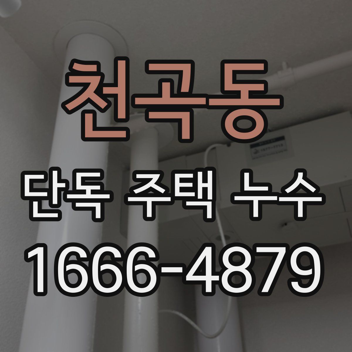 천곡동 단독 주택 누수