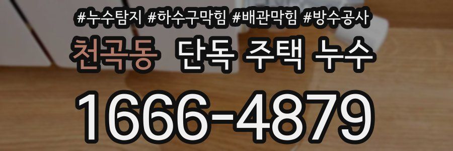 천곡동 단독 주택 누수