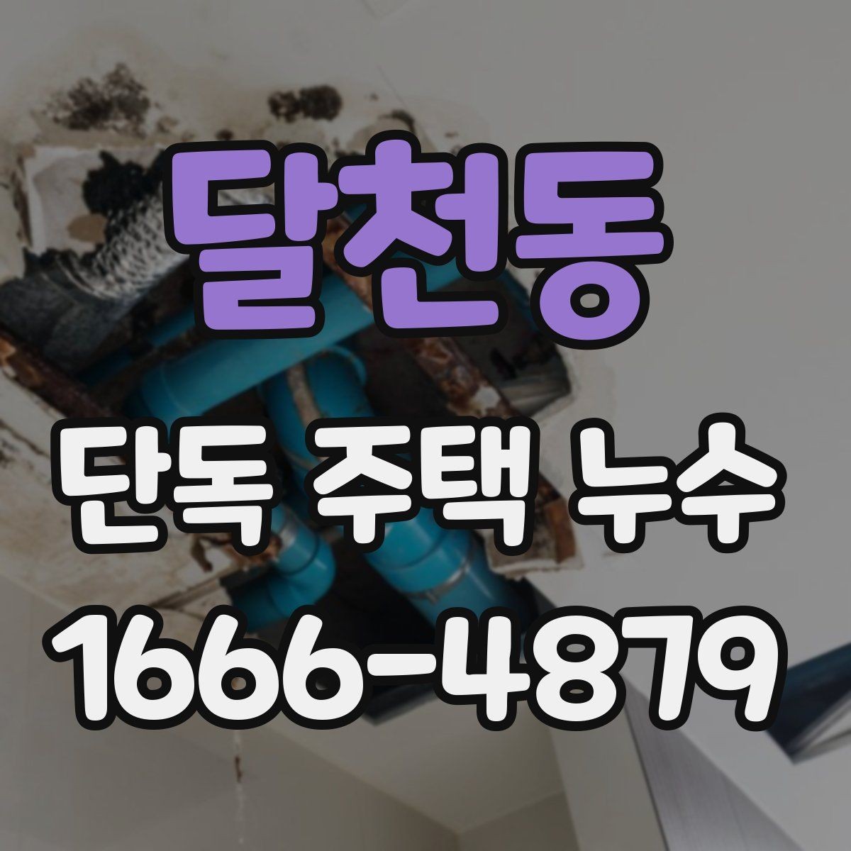 달천동 단독 주택 누수 비슷한 증상과 구별하는 방법