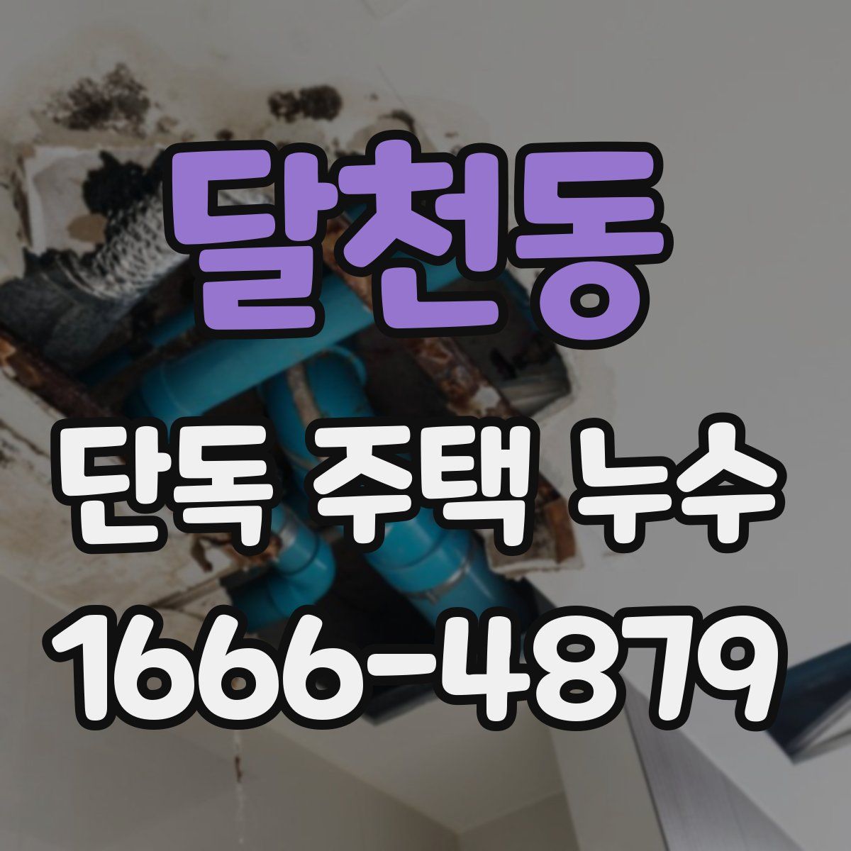 달천동 단독 주택 누수