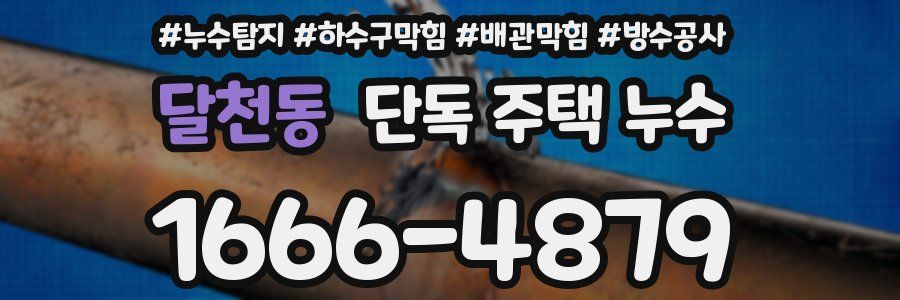 달천동 단독 주택 누수