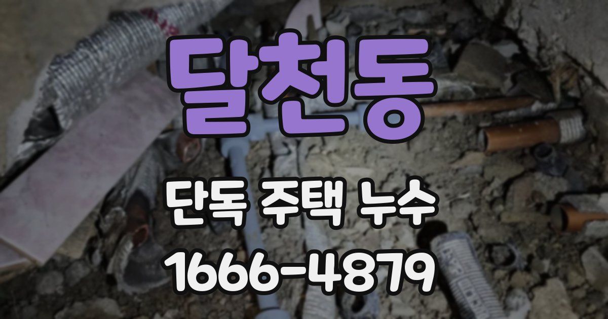달천동 단독 주택 누수