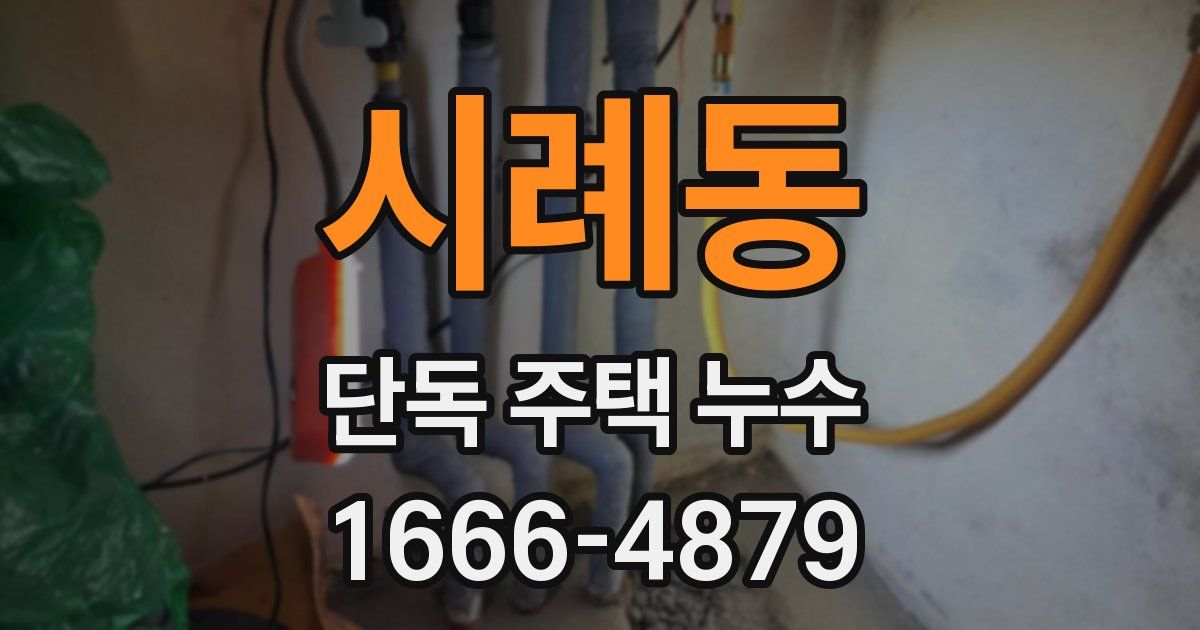 시례동 단독 주택 누수