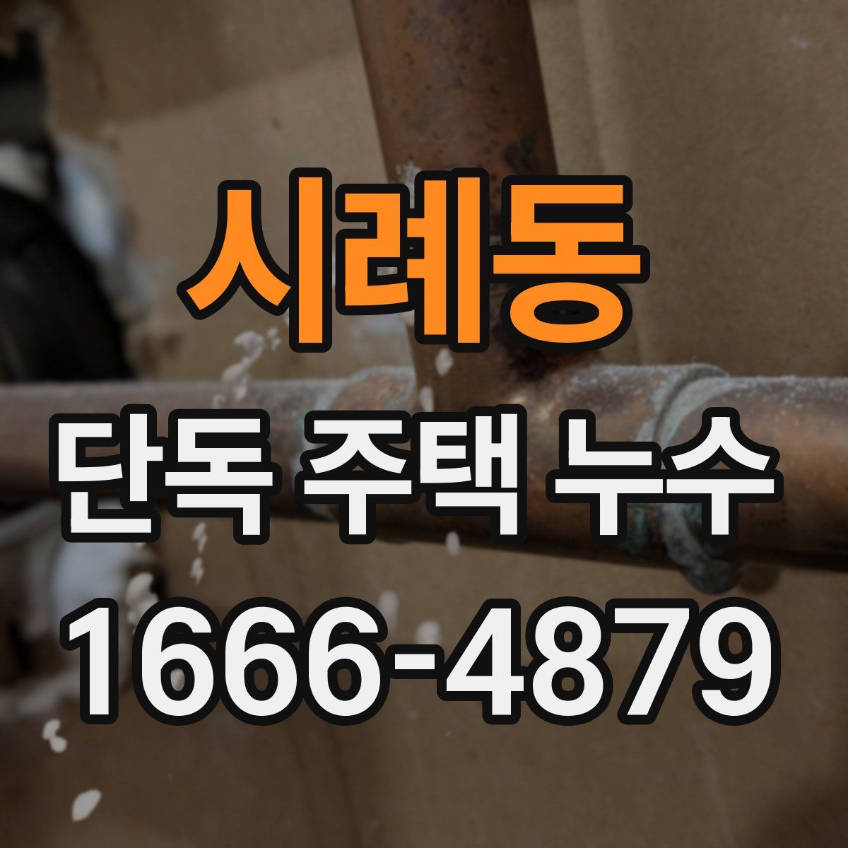 시례동 단독 주택 누수