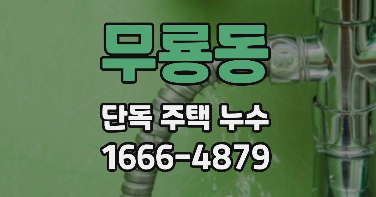 무룡동 단독 주택 누수
