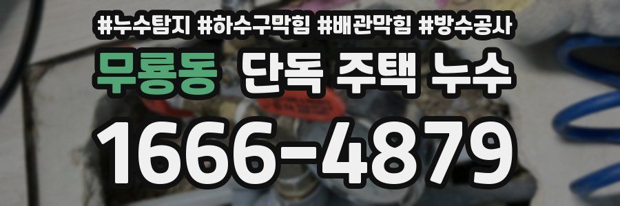 무룡동 단독 주택 누수