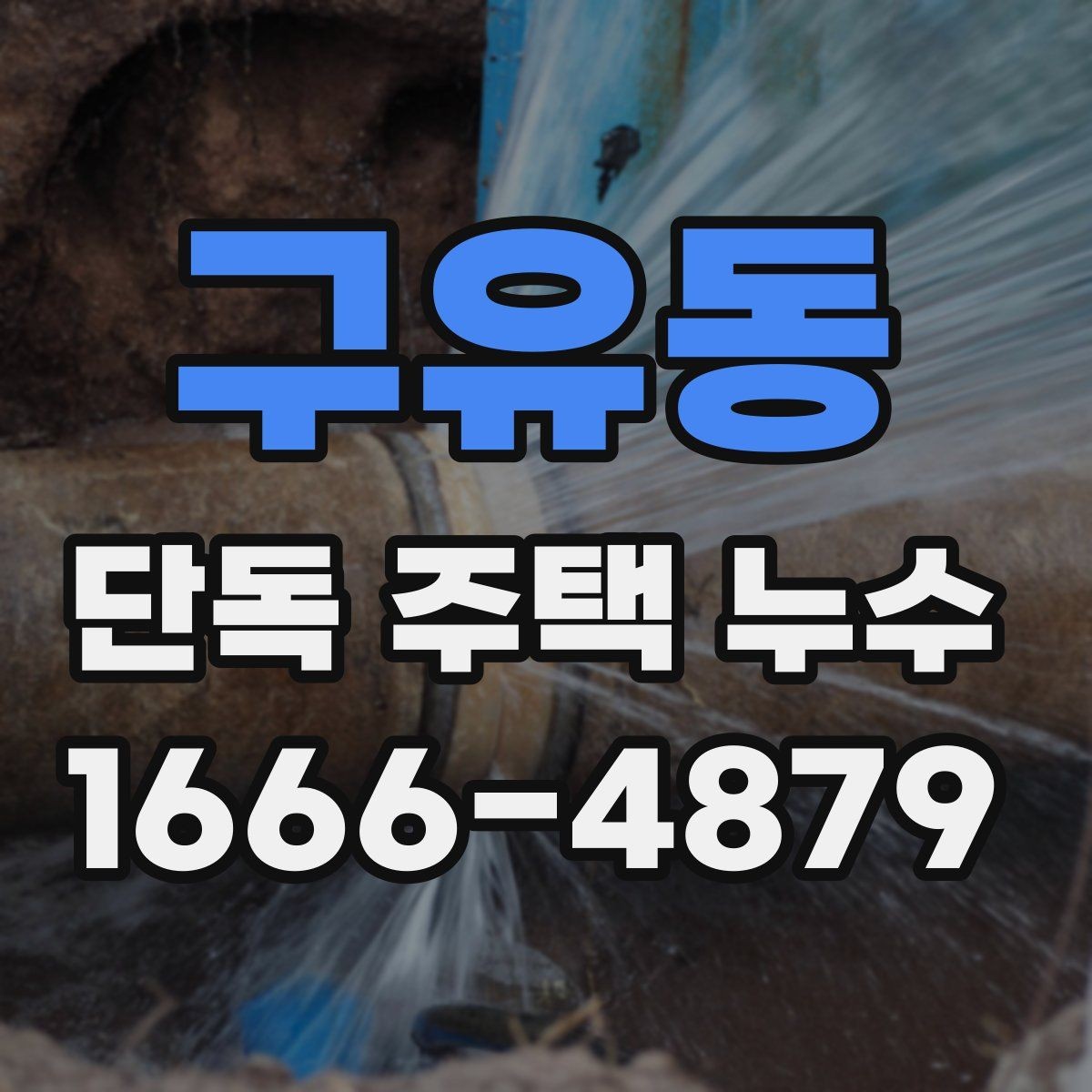 구유동 단독 주택 누수 벽지 들뜸이 보일 때 점검 대상
