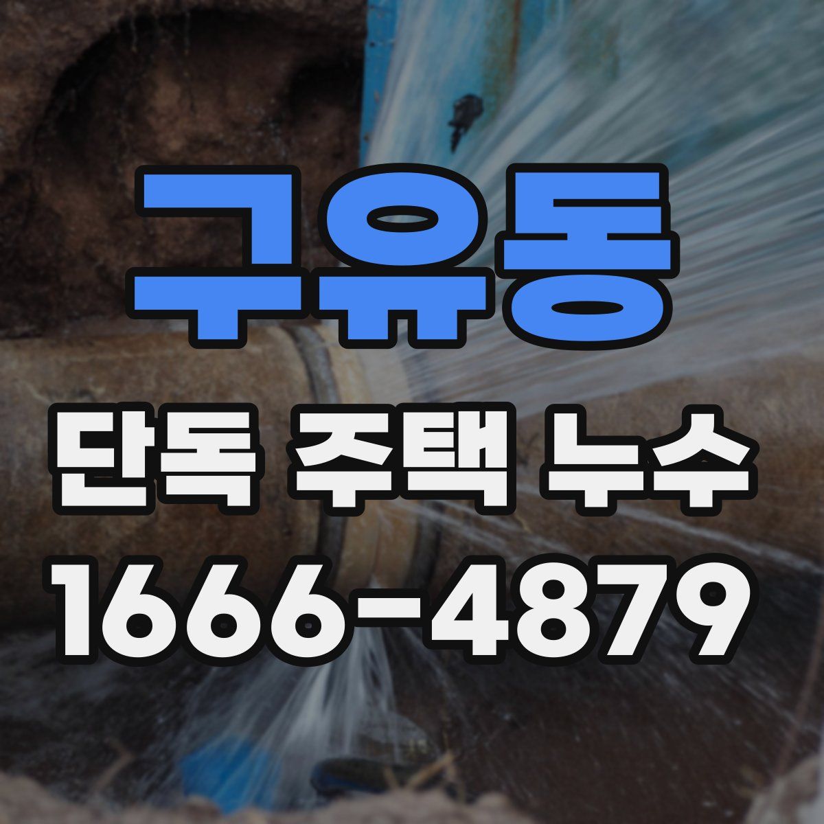 구유동 단독 주택 누수
