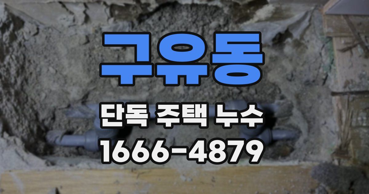 구유동 단독 주택 누수