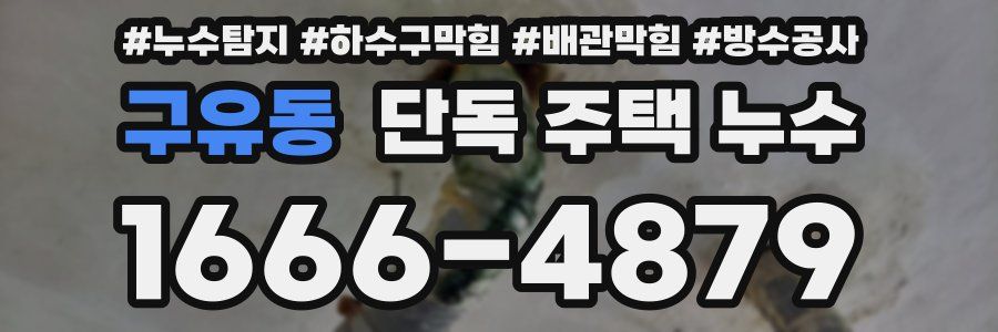 구유동 단독 주택 누수