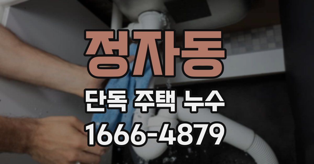 정자동 단독 주택 누수