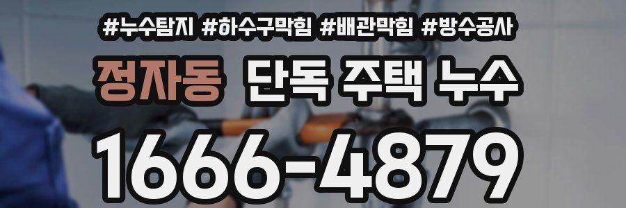 정자동 단독 주택 누수