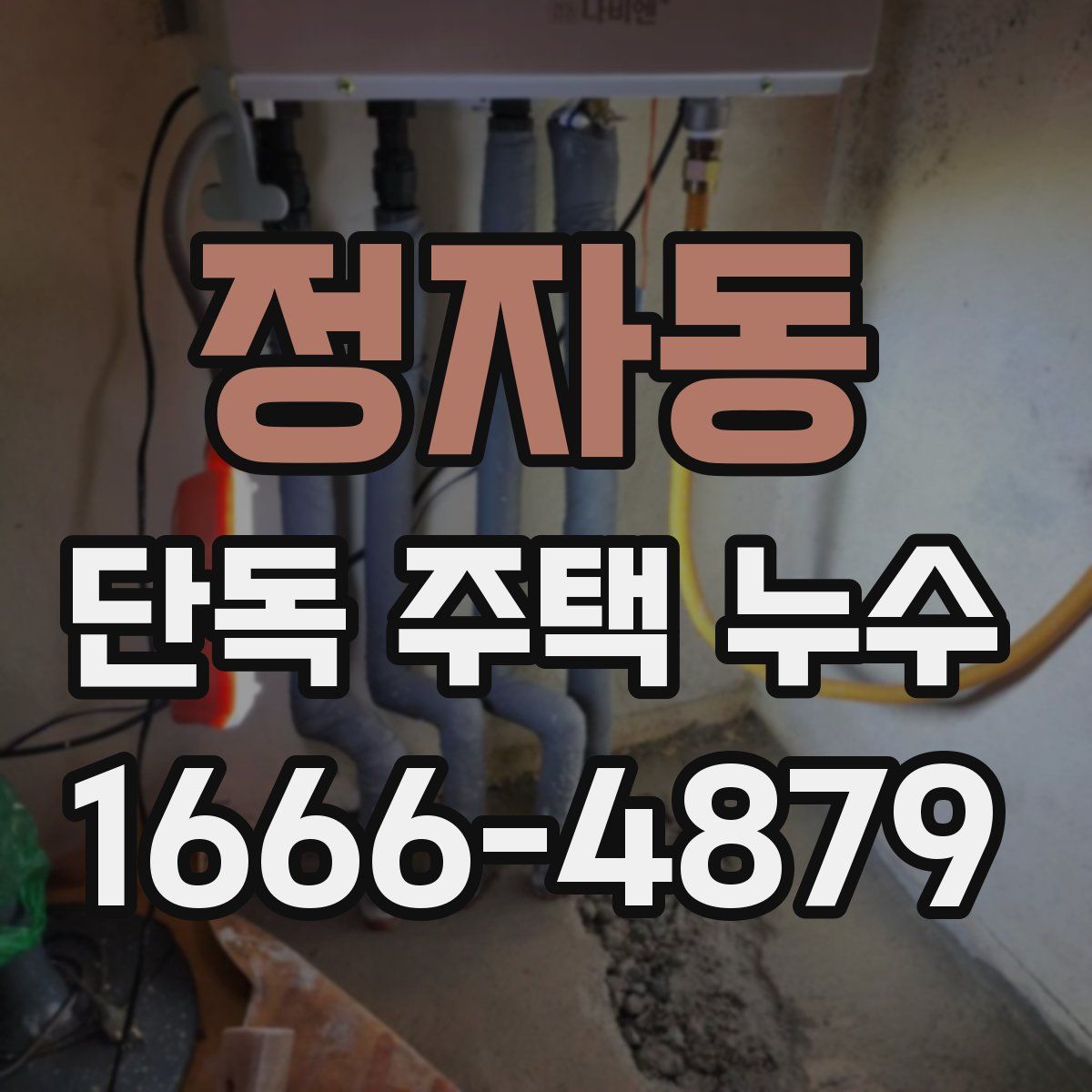 정자동 단독 주택 누수