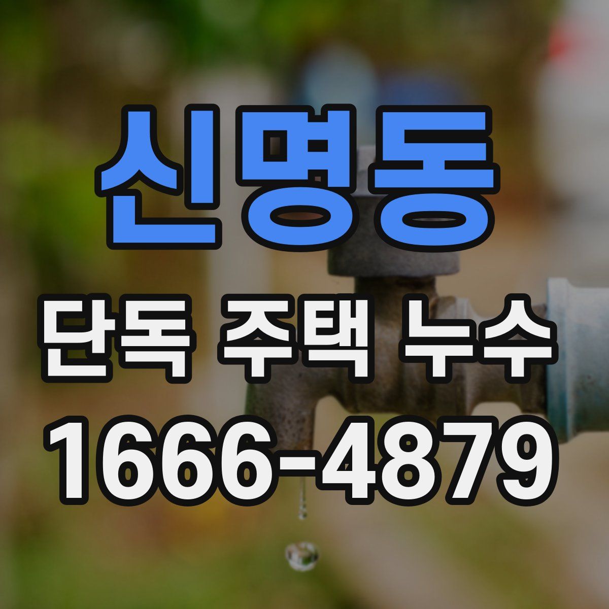 신명동 단독 주택 누수