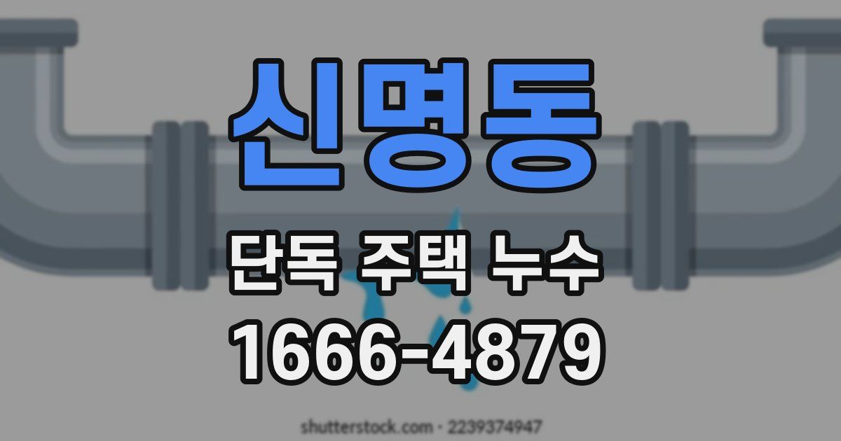 신명동 단독 주택 누수