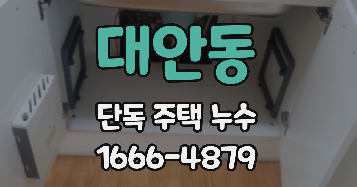 대안동 단독 주택 누수