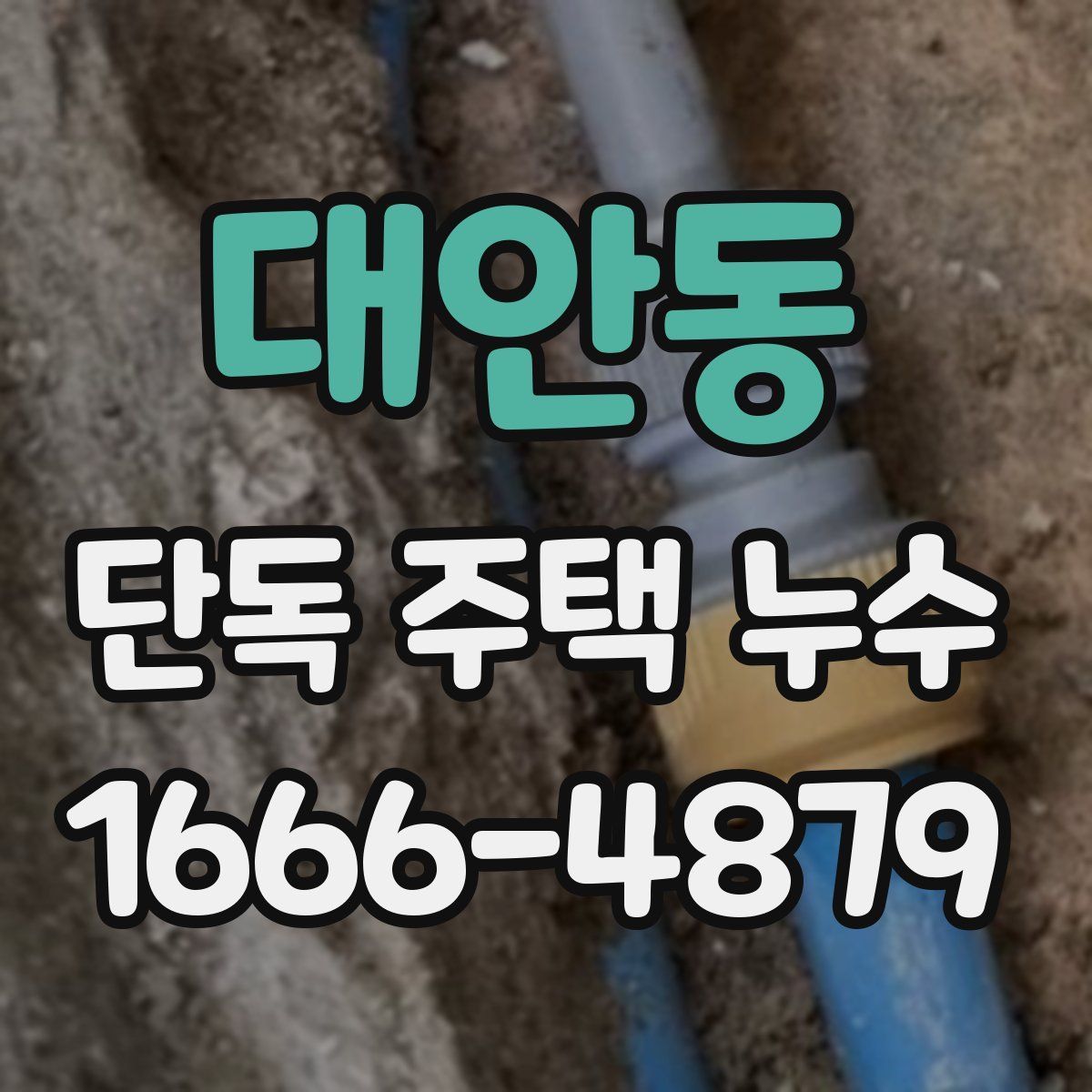 대안동 단독 주택 누수