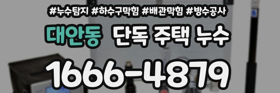 대안동 단독 주택 누수