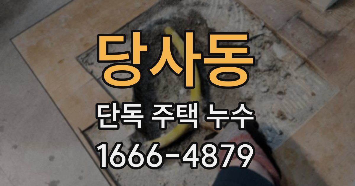 당사동 단독 주택 누수