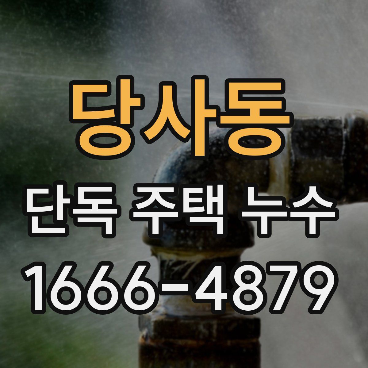 당사동 단독 주택 누수