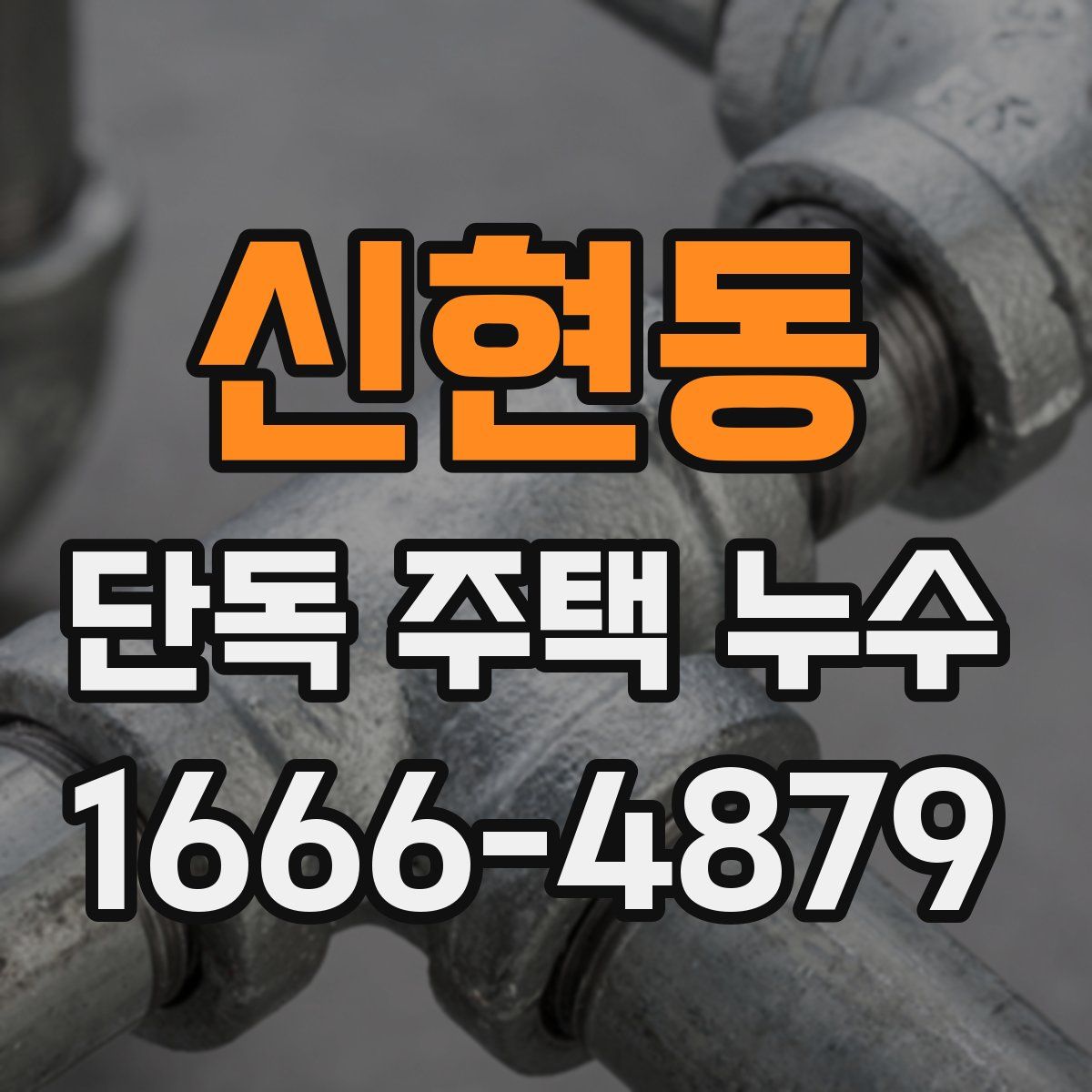신현동 단독 주택 누수