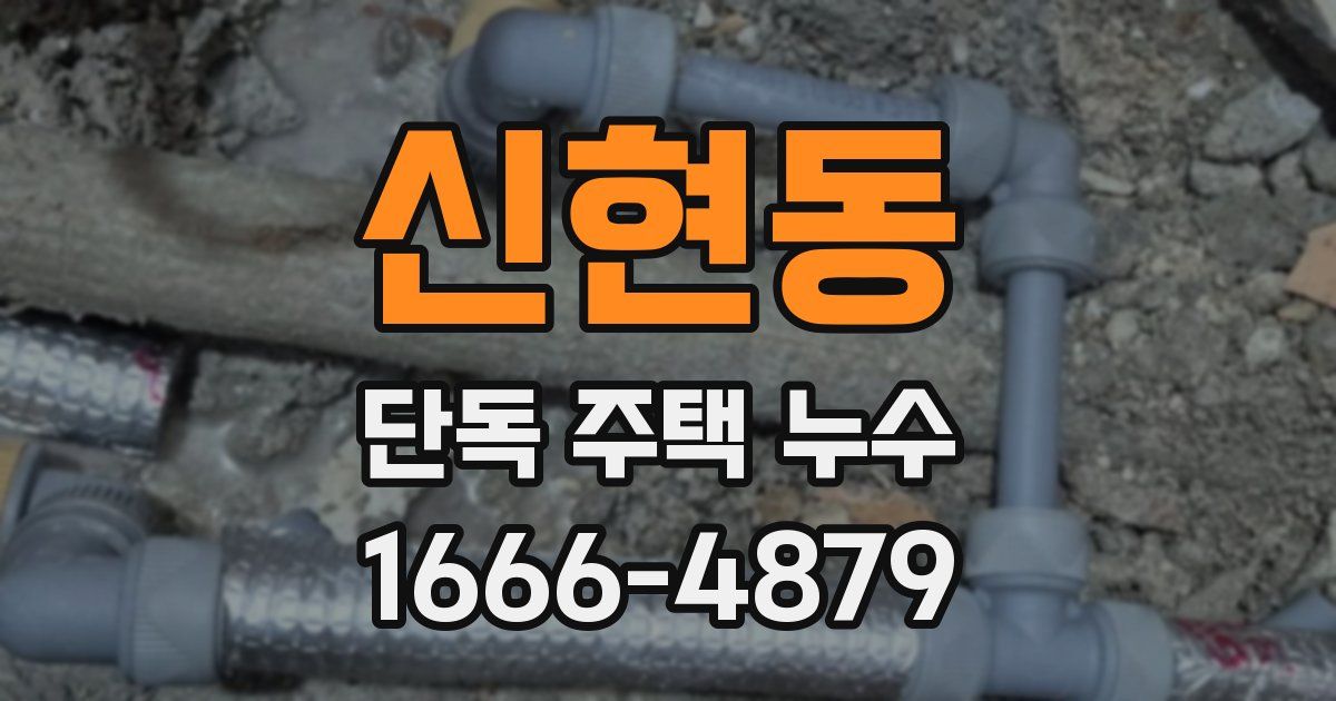 신현동 단독 주택 누수