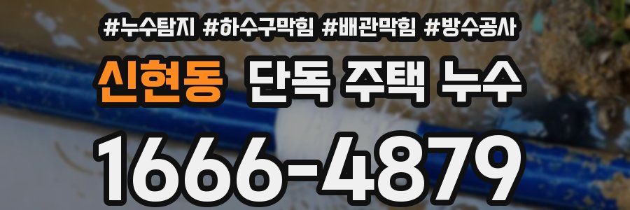 신현동 단독 주택 누수