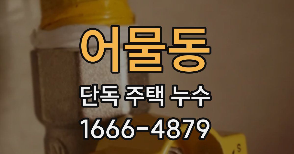 어물동 단독 주택 누수