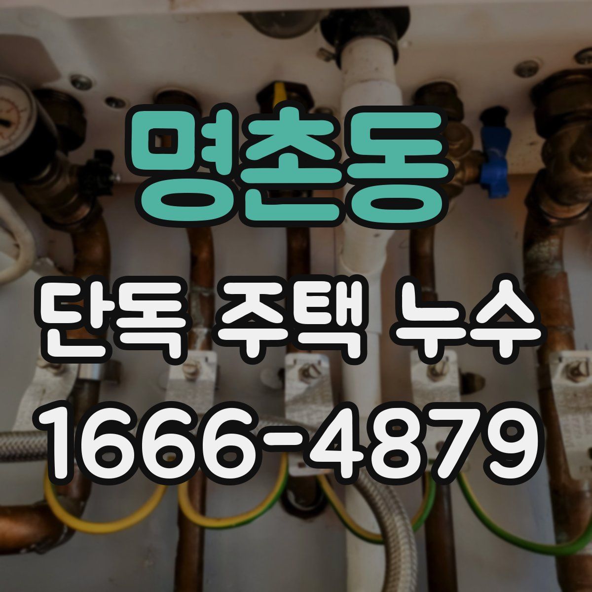 명촌동 단독 주택 누수