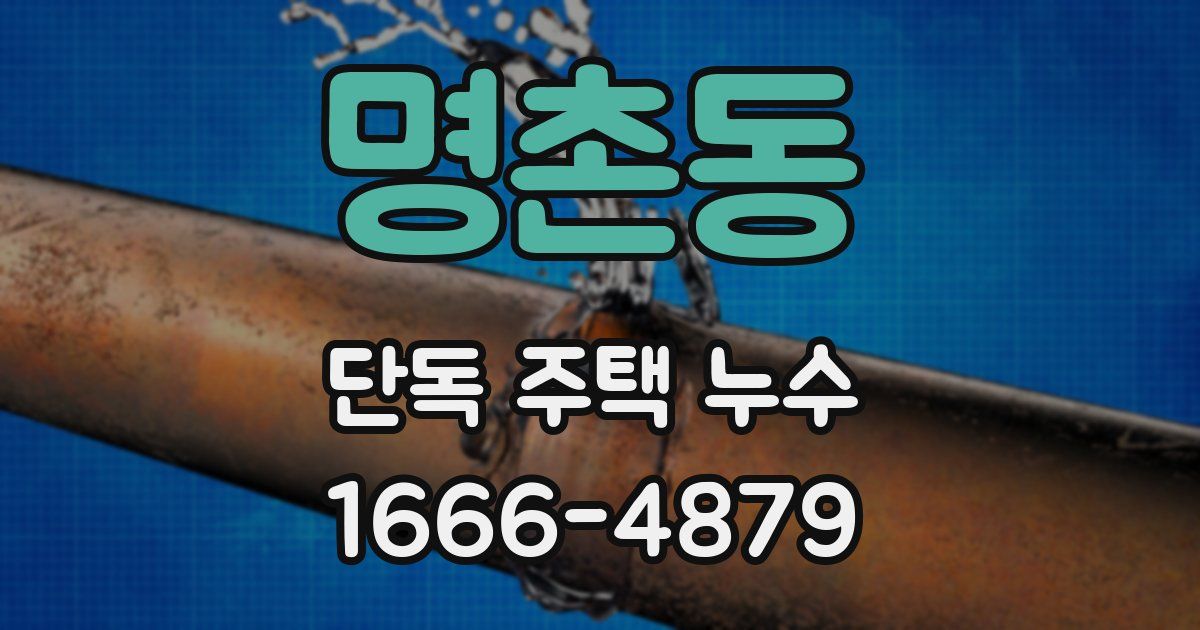 명촌동 단독 주택 누수