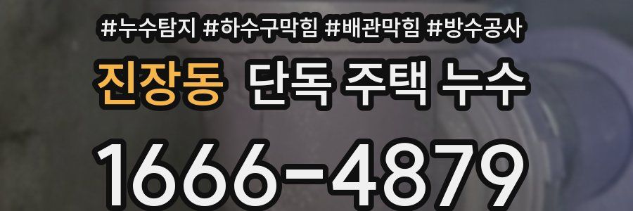 진장동 단독 주택 누수