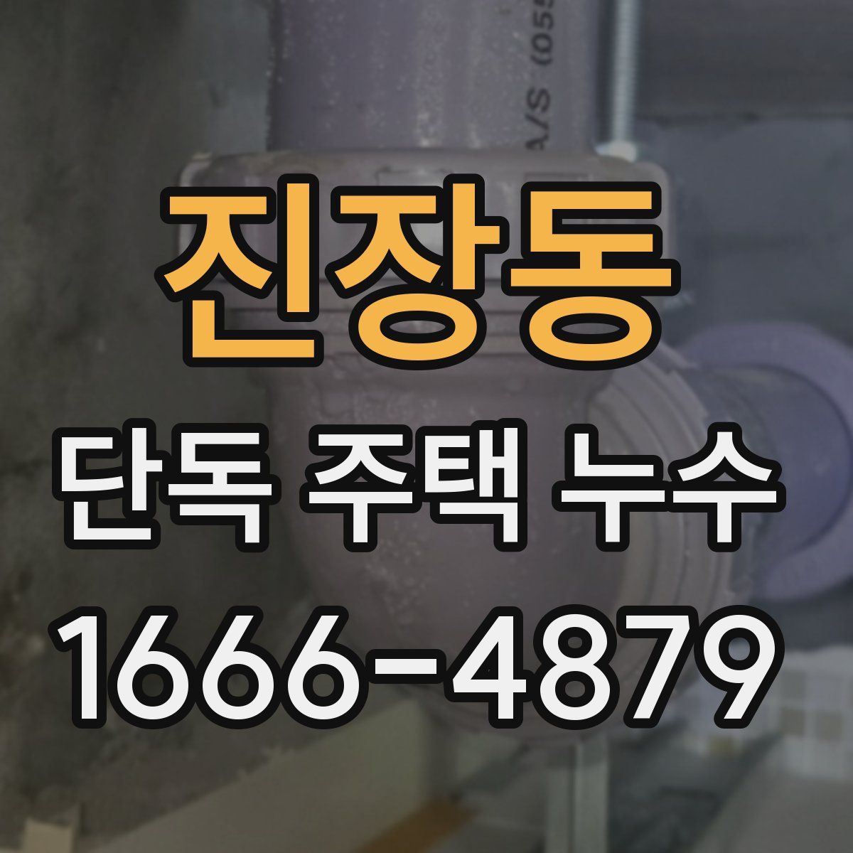 진장동 단독 주택 누수