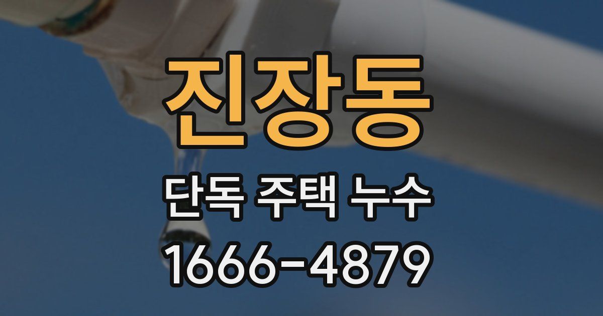진장동 단독 주택 누수