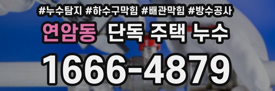 연암동 단독 주택 누수