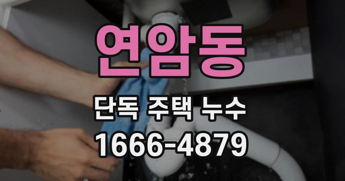 연암동 단독 주택 누수