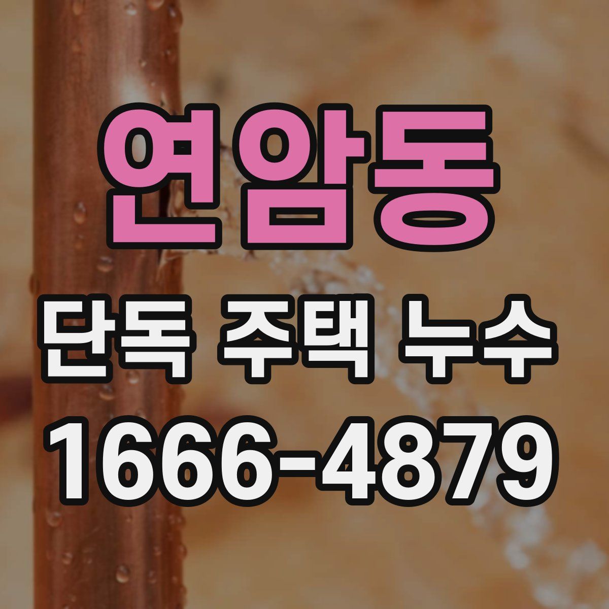 연암동 단독 주택 누수