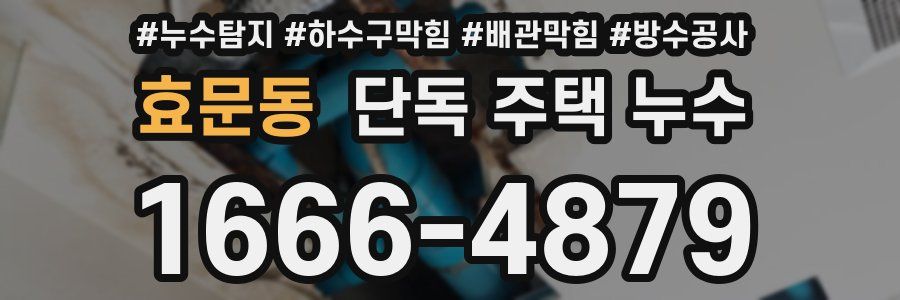 효문동 단독 주택 누수