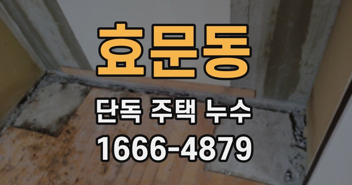 효문동 단독 주택 누수