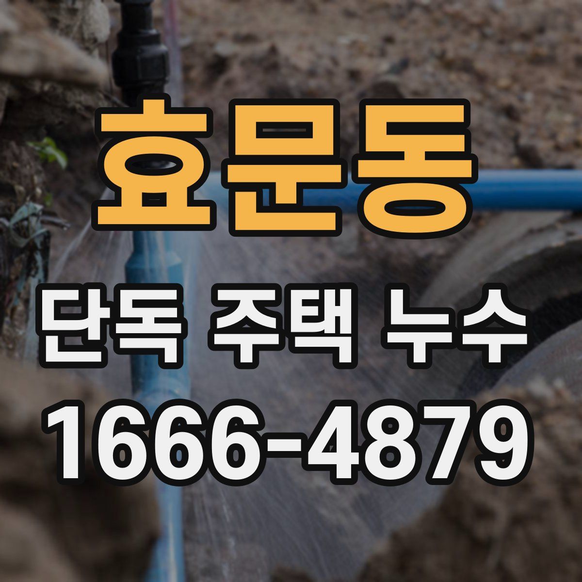 효문동 단독 주택 누수