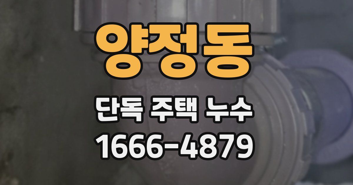 양정동 단독 주택 누수