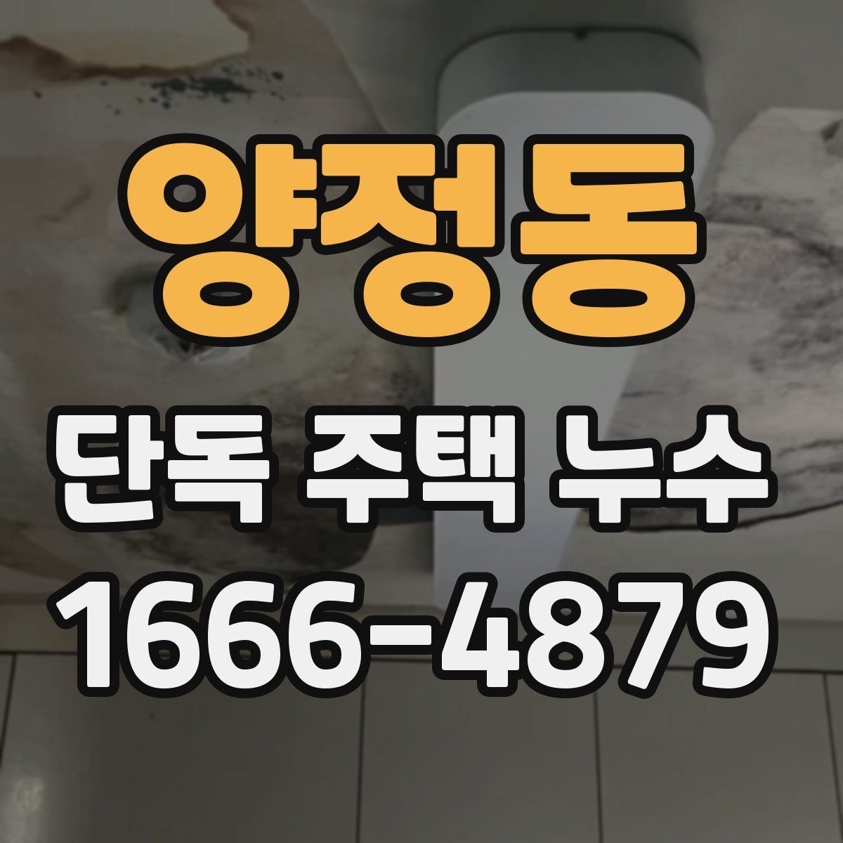 양정동 단독 주택 누수