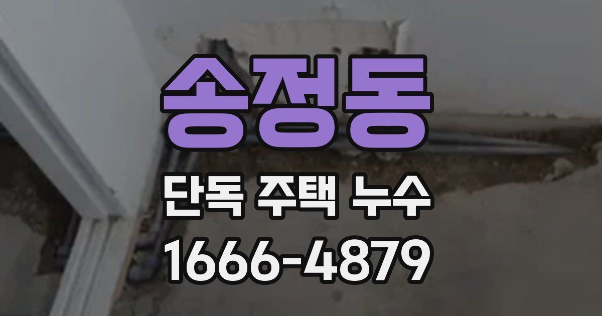 송정동 단독 주택 누수