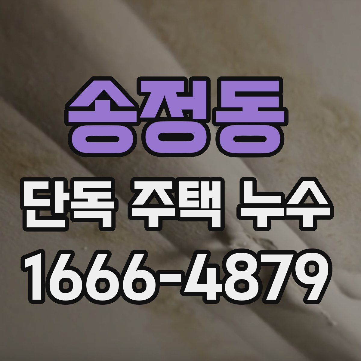 송정동 단독 주택 누수