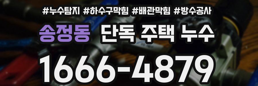 송정동 단독 주택 누수