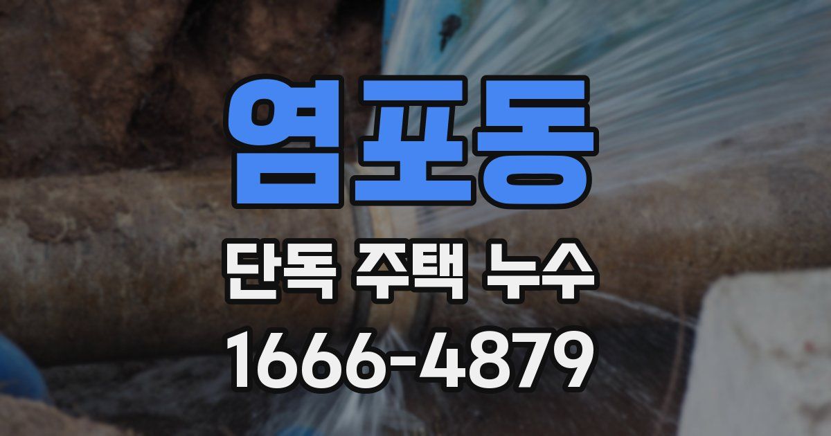 염포동 단독 주택 누수