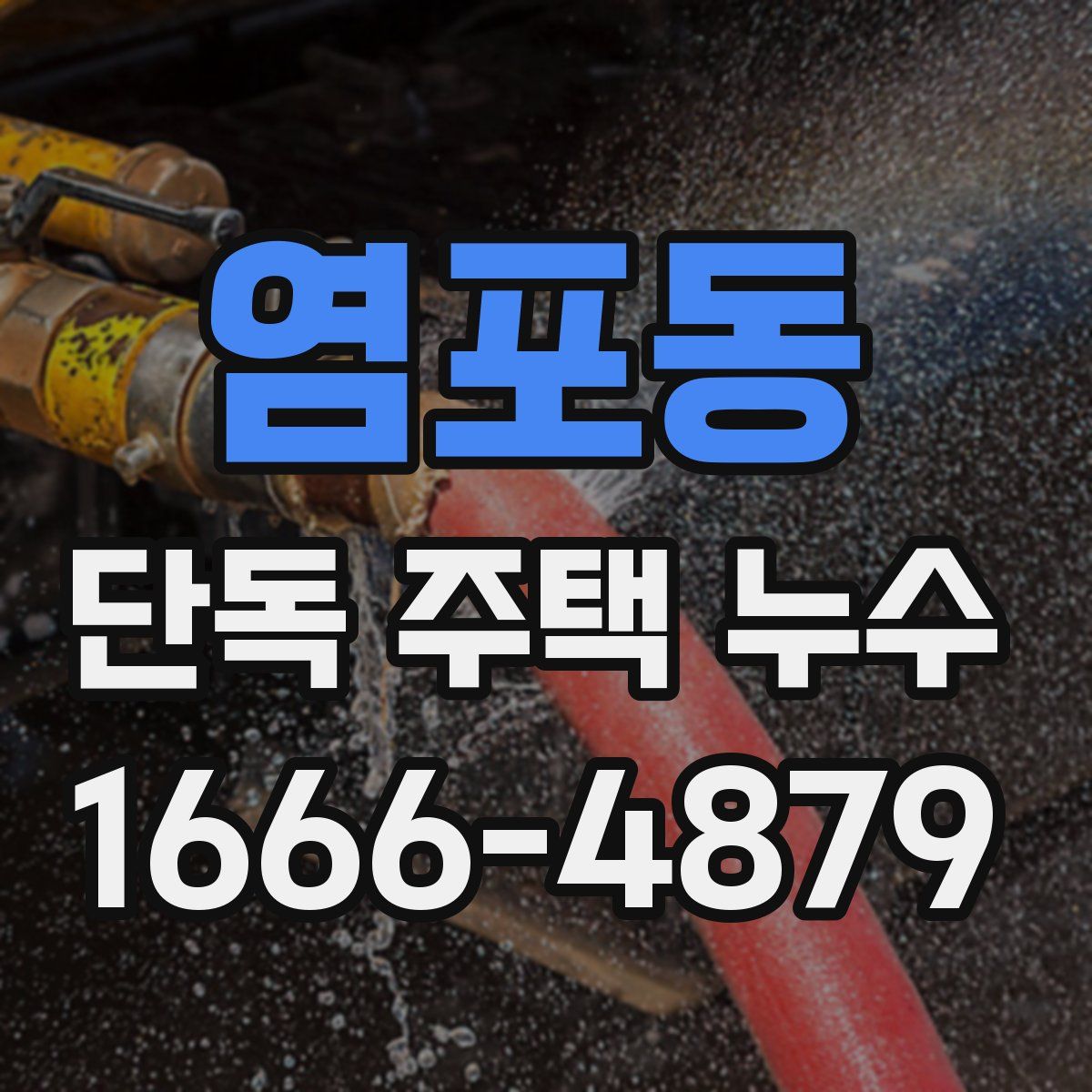 염포동 단독 주택 누수